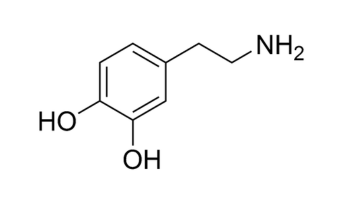 Hoe Gebruik Ik Dopamine?
