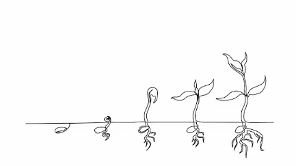 Wat je Inner Circle zegt over jouw groei (en wat je eraan kunt doen)