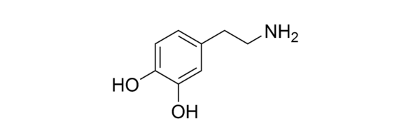 Hoe Gebruik Ik Dopamine?